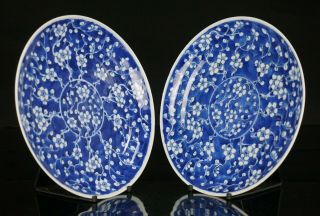 Pair Antique Chinese Blue and White Prunus Crackle Ice Porcelain Plate 19th C 2
