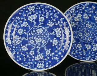Pair Antique Chinese Blue and White Prunus Crackle Ice Porcelain Plate 19th C 3