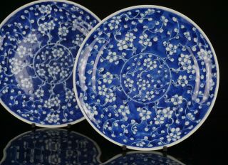 Pair Antique Chinese Blue and White Prunus Crackle Ice Porcelain Plate 19th C 6