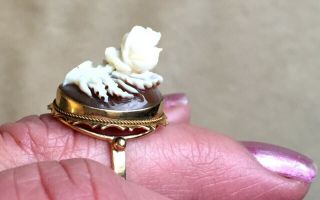 C1890 14k Gold Ring High Relief Carved Rose Shell Cameo Grand Tour Pc Sz 7