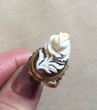 c1890 14k Gold Ring HIGH RELIEF Carved Rose SHELL CAMEO Grand Tour Pc Sz 7 3