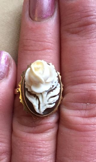 c1890 14k Gold Ring HIGH RELIEF Carved Rose SHELL CAMEO Grand Tour Pc Sz 7 4