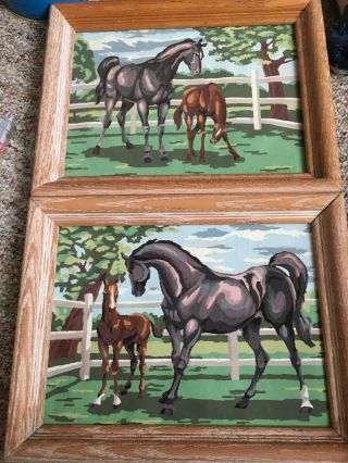 Vintage Paint By Number Horse 9 1/2 " X 12 3/4 " Without Frame