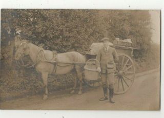 Runfold Farnham Arthur Wilkinson Baker Delivery Cart Vintage Rp Postcard 325c