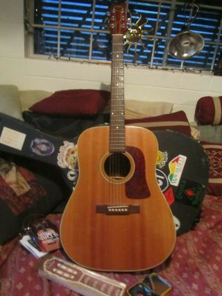 Guitar,  Vintage Washburn,  Steel String Acoustic,  40 " W/hard Case,  Chord Chart