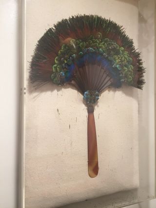Chinese Qing Dynasty Peacock And Kingfisher Fan With Tortoise Handle