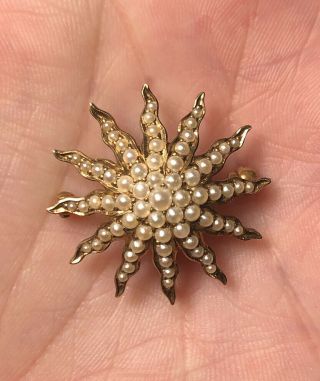 Antique Victorian 14k Rose Gold Seed Pearl Starburst Pin Brooch 4.  81g