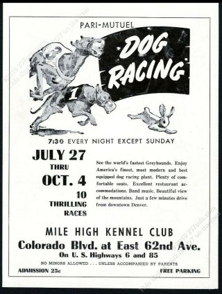 1949 Greyhound Dog Racing Art Mile High Kennel Club Denver Vintage Print Ad