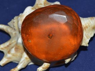 VERY BIG Stone Antique NATURAL BALTIC FACETED AMBER COGNAC HONEY necklace 琥珀色 2