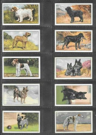 GALLAHER 1936 INTERESTING (DOGS) FULL 48 CARD SET  DOGS 1st SERIES 3