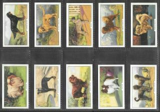 GALLAHER 1938 INTERESTING (DOGS) FULL 48 CARD SET  DOGS 2nd SERIES 2