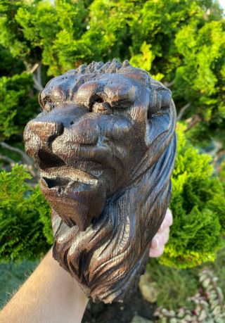Antique Carved Oak Lion Head Wall Cone Bracket Heavy Bulbous & Large Victorian