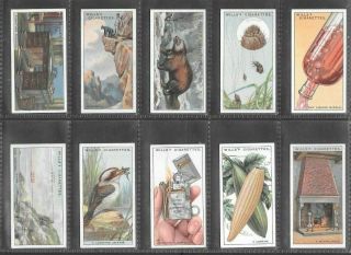 WILLS 1926 INTERESTING (KNOWLEDGE) FULL 50 CARD SET  DO YOU KNOW 3rd 3