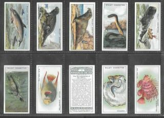 Wills 1928 Intriguing (sea Wonders) Full 50 Card Set  Wonders Of The Sea