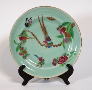 Antique Chinese Celadon Plate With Very Fine On Glaze Enamels 9.  75 "