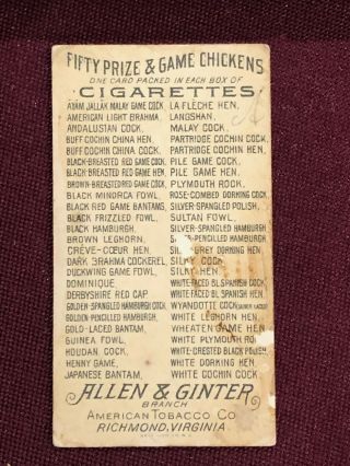 ALLEN & GINTER PRIZE AND GAME CHICKENS CIGARETTE TOBACCO CARD 2