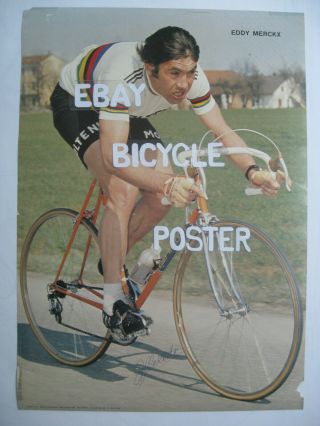 Bicycle Poster Eddy Merckx Molteni World Champion Signed Autographed