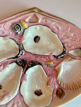 Antique Union Porcelain Oyster Plate White Pink 19th Century 2