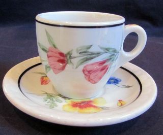 Southern Pacific Rr China Prairie Mountain Wildflowers Demi Cup And Saucer