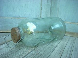 Vintage Antique Glass Jar Minnow Trap Mcswain Jr.  Bait Trap Jonesboro,  Ark