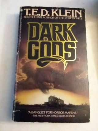 Dark Gods T.  E.  D.  Klein Vintage Horror Paperback Bantam 1986