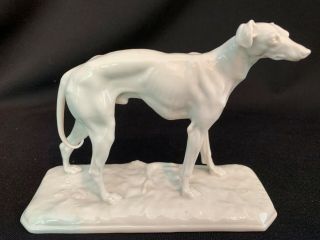Royal Nymphenburg White Porcelain Greyhound Dog After Pj Mene