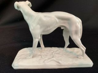 Royal Nymphenburg White Porcelain Greyhound Dog After PJ Mene 2