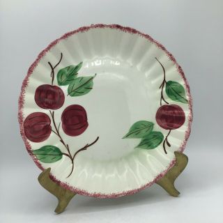 Vintage Blue Ridge Southern Potteries Crab Apple Hand Painted 10” Plate - Usa