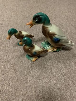 Set Of 3 Vintage Ceramic Mallard Ducks