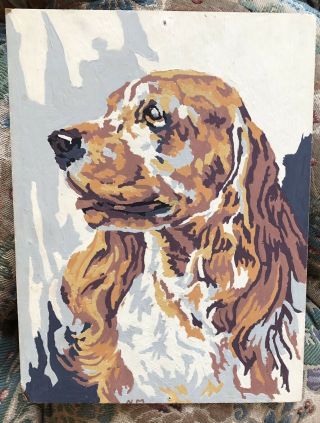 Vintage Paint By Number Painting Spaniel With Hound Lineage In Profile,  Good Dog
