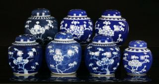 7x Chinese Blue And White Prunus Blossom Porcelain Ginger Jars & Lids S
