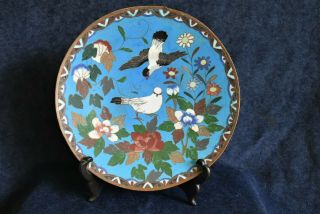Antique Signed Japanese Cloisonne Plate Meiji Period