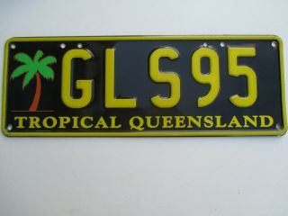 1990s Tropical Queensland Graphic Palm Tree Yellow License Plate