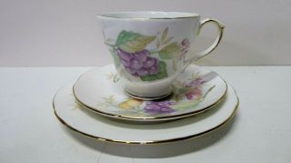 Vintage Duchess Bone China Trio Cup Saucer Plate Fruit Grapes Pattern