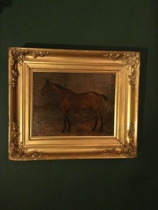 19th English School “” Race Horse In Stable Oil On Board C1890