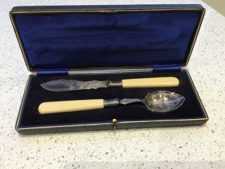 Silver Plated Vintage Spoon And Knife Set Bone Handle Case