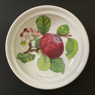 Vintage Portmeirion Pomona The Hoary Morning Apple 8.  5 " Bowl