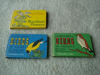3 Vintage Whitman Book - 2 Birds Of America And 1 Woodland Flowers