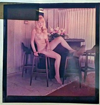 Bunny Yeager Estate 60s Color Transparency Alluring Pose Femme Fatale Model 386