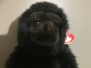 Vintage Ty " Big George " Beanie Baby Gorilla Ape Babies 18 "