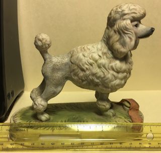 Vintage Lionstone French Poodle Whiskey Decanter with red seal 1975 no label. 2