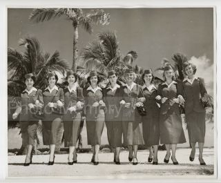Group Of Hostesses Of The Pan American In Miami - Photo Vintage 1951