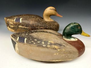 Vintage Mallard Pair Duck Hunting Decoys Wildfowler Co Old Saybrook,  Ct Magnum