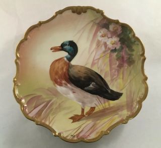 Antique Hand Painted Limoges Porcelain Duck Portrait Plate With Gilt Rim Signed
