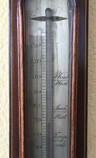Antique Barometer & Thermometer,  38 in,  Shell Design Inlay,  Cirencester 3