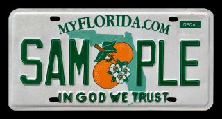 Florida Graphic Double Oranges Sample License Plate " Sam Ple " In God We Trust