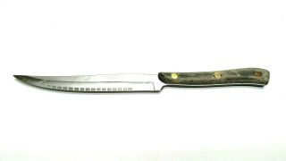 Vintage Blackhawk 5 " Stainless Steel Knife Wood Handle Made In Germany