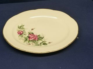 Vintage Homer Laughlin Large Oval Platter B53n6 Pink Rose 