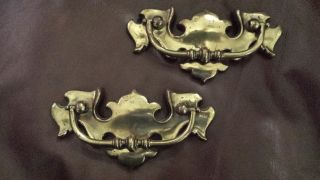 2 Solid Brass Drawer Pulls Antique Cabinet Furniture Hardware Handle Knobs