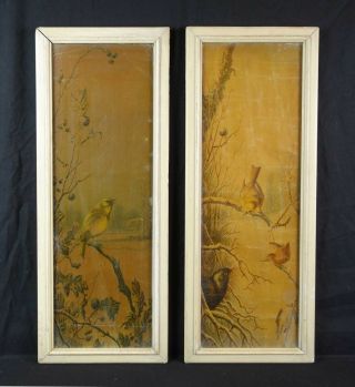 Pair Antique Victorian 19th Century Lithograph Print Of Birds Framed